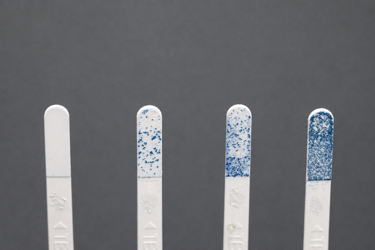 Four white, vertical test strips with blue staining on the tips, arranged left to right against a dark background (increasing stain intensity).