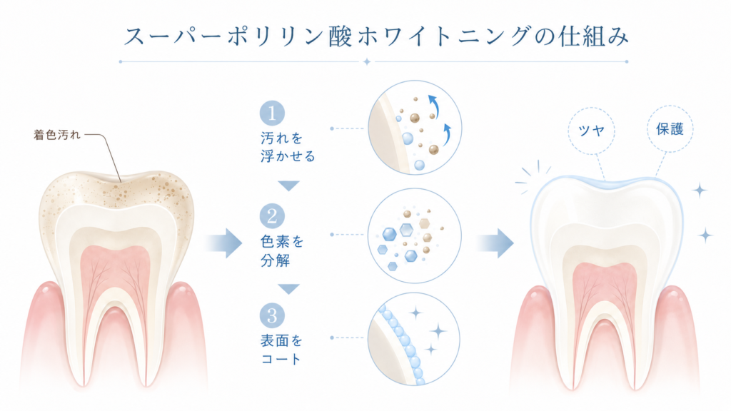 Diagram explaining whitening mechanism: stains lifted, pigments broken down, and the surface coated for a glossy, protected tooth image. (Infographic)